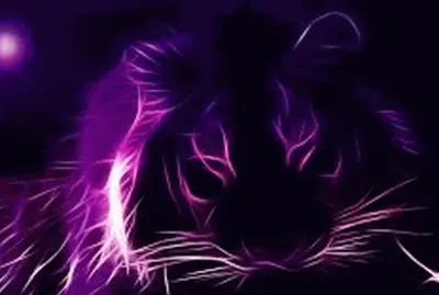 פאזל של divers