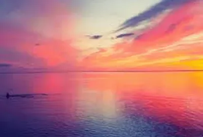 paysage