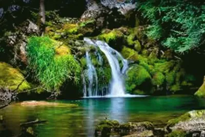  s: encrypted-tbn0.gstatic.com/images?q=tbn:AN