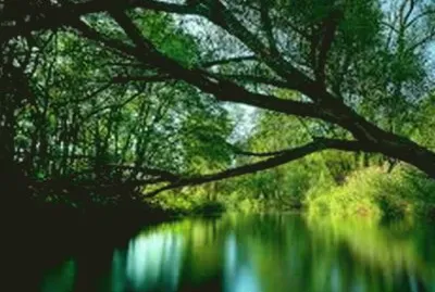  s: encrypted-tbn0.gstatic.com/images?q=tbn:AN