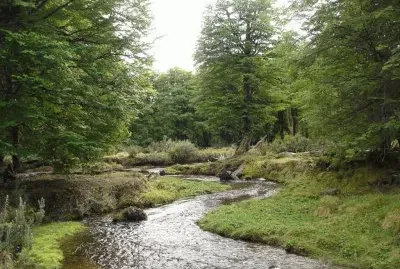 PN Tierra del Fuego. Argentina