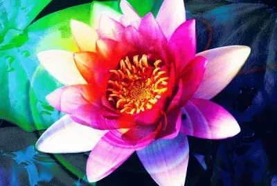 Impression jigsaw puzzle