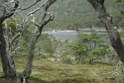 En Tierra del Fuego. Argentina
