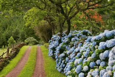 NÂº 685 jigsaw puzzle