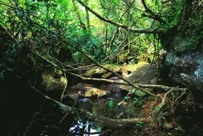 En el PN IguazÃº. Misiones. Argentina