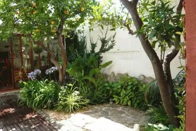 jardin jigsaw puzzle