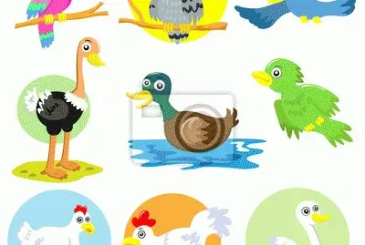 PATO