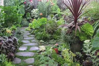 jardin