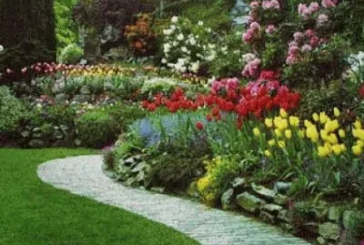 jardin