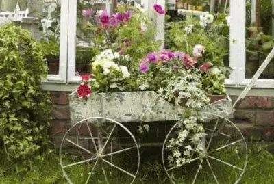 jardin