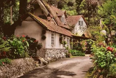 NÂº 686 jigsaw puzzle