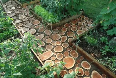 jardin