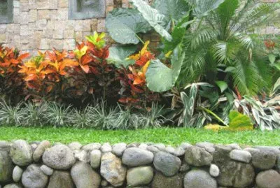 jardin jigsaw puzzle