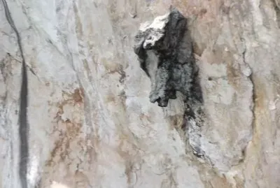 A Horse Nose  Phang Nga Bay