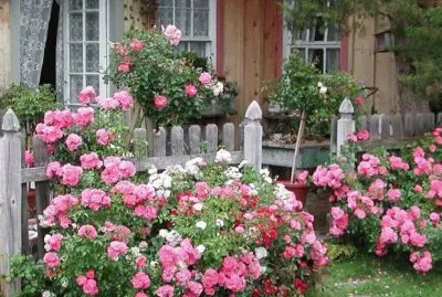 NÂº 1306 jigsaw puzzle