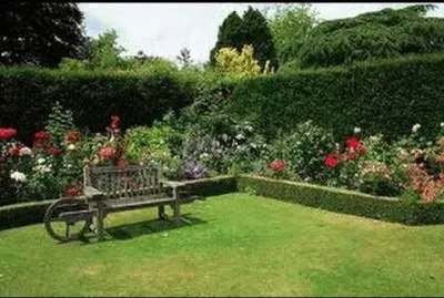 jardin jigsaw puzzle