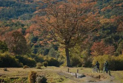 En Tierra del Fuego. Argentina