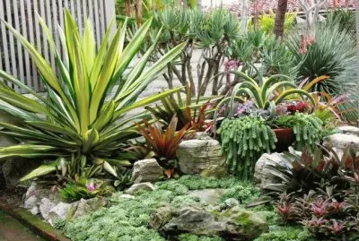 jardin jigsaw puzzle