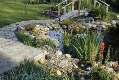jardin