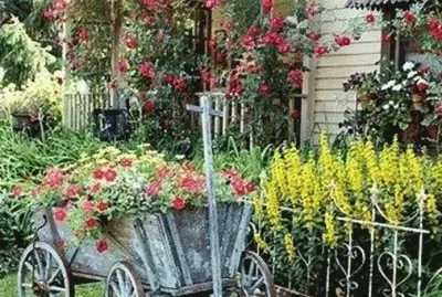 jardin