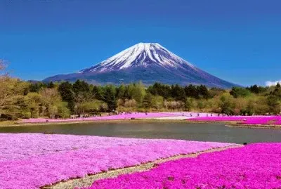 Natureza