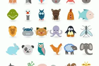 animales