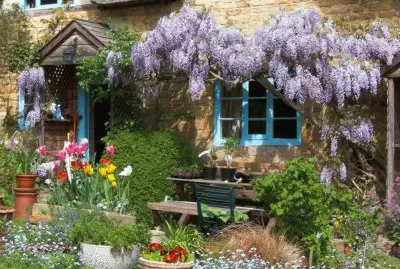 NÂº 1315 jigsaw puzzle