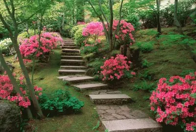 Natureza