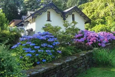 Natureza jigsaw puzzle