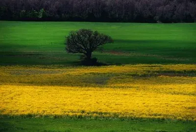 Natureza