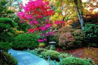 jardin