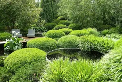 Imagem jigsaw puzzle