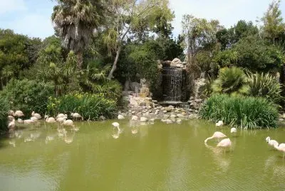 San Clemente del TuyÃº. Buenos Aires. Argentina