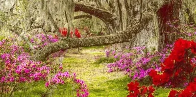 Diversos jigsaw puzzle