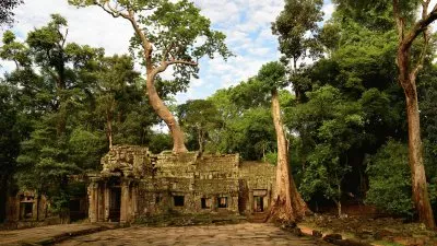 Siem Reap. Camboya jigsaw puzzle