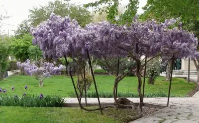 Gaiman. Chubut. Argentina jigsaw puzzle