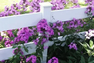 Flores jigsaw puzzle