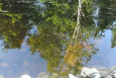 Reflections at the river bank