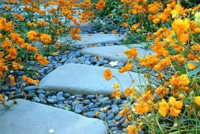 Natureza jigsaw puzzle
