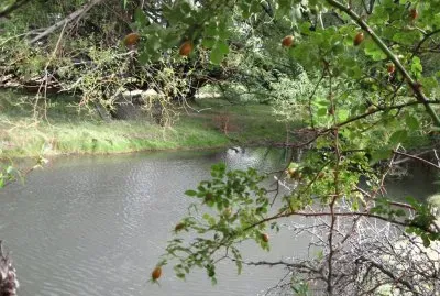 RÃ­o Gualjaina. Chubut. Argentina