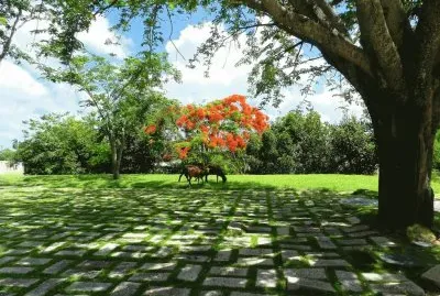 Santa Clara. Cuba jigsaw puzzle