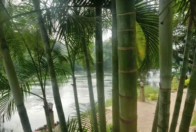 A orillas del Khwae Yai. Kanchanaburi. Tailandia jigsaw puzzle