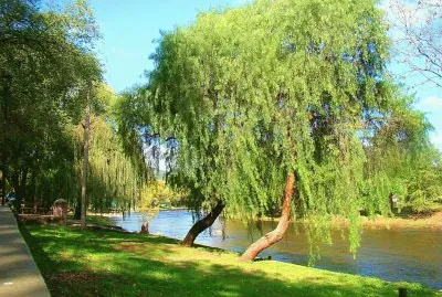 Calamuchita. CÃ³rdoba. Argentina