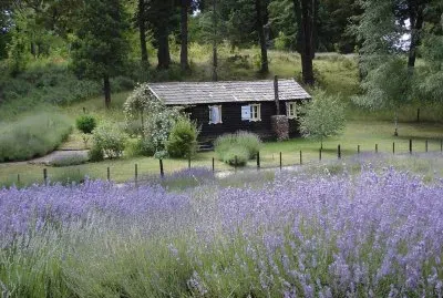 En Bariloche. RÃ­o Negro. Argentina