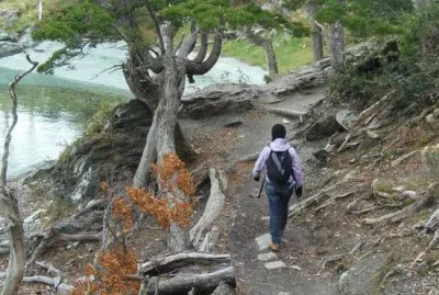 PN Tierra del Fuego. Argentina