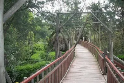 Cerca de La Plata. Buenos Aires. Argentina