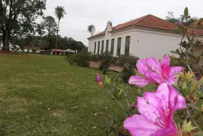 En San Ignacio. Misiones. Argentina