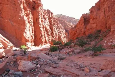 PN Talampaya. La Rioja. Argentina