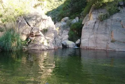 Papagayos. San Luis. Argentina