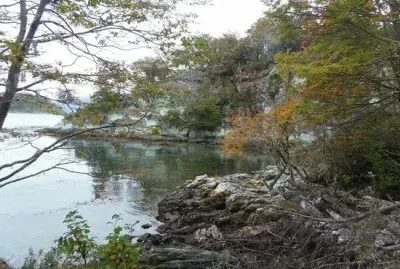 PN Tierra del Fuego. Argentina